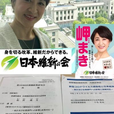 松沢成文参議院議員主催の6月定例勉強会に参加させていただきました