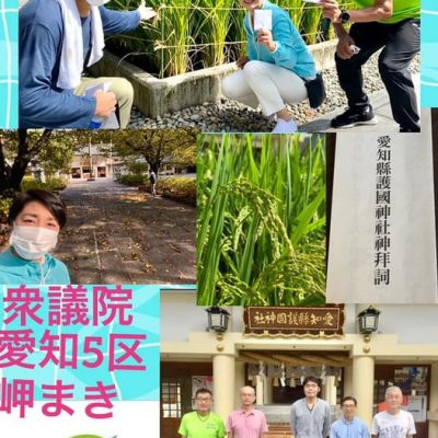 【岬まき】です。 毎月恒例の地元愛知県護国神社での清掃奉仕活動と月参りに参加させていただきました。
